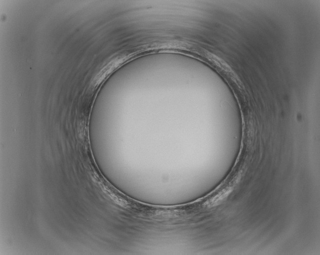 X0000060800985200512082145