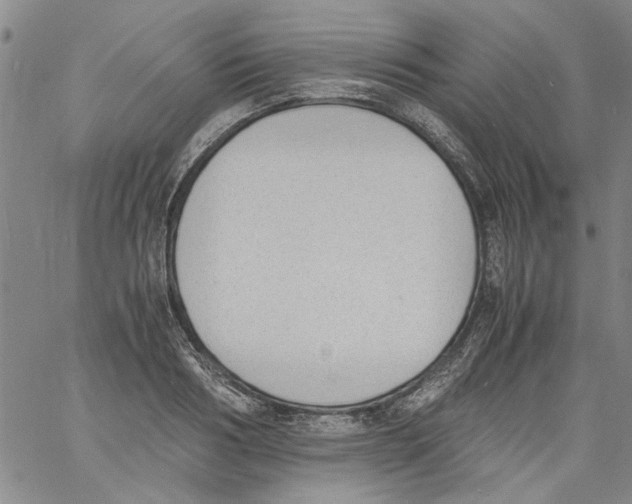 X0000060800986200512082145