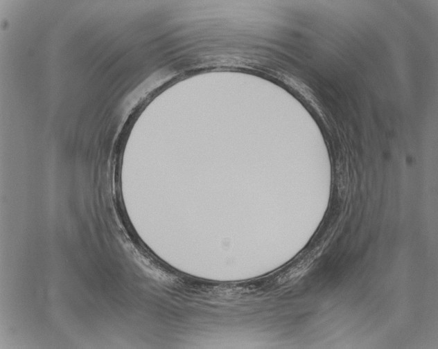 X0000060800987200512082145