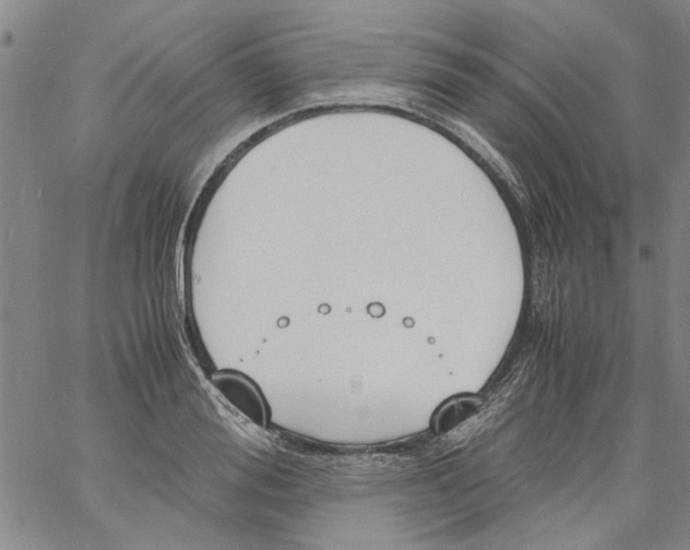 X0000060800988200512082145