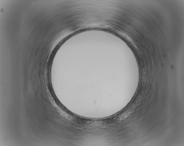 X0000060800991200512082145