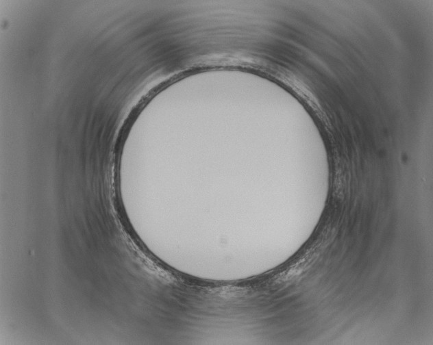 X0000060800992200512082145