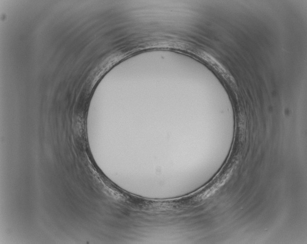 X0000060800993200512082145