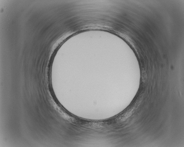 X0000060800995200512082145