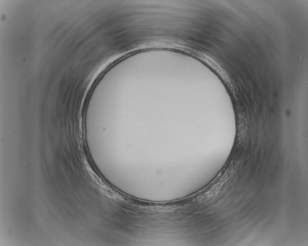 X0000060800996200512082145