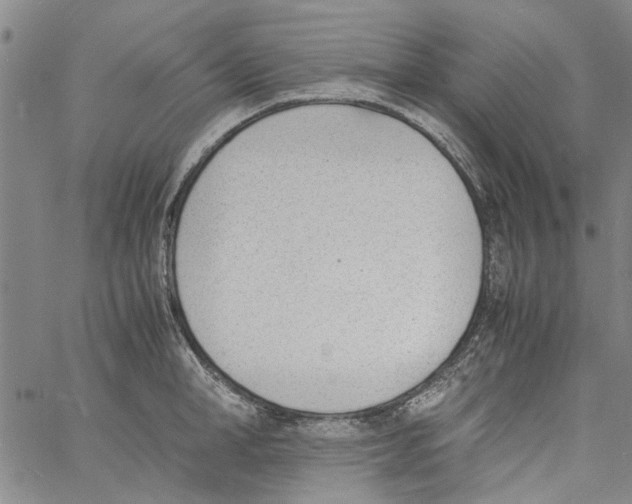 X0000060800998200512082145