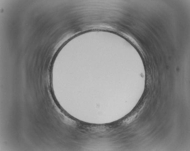 X0000060800999200512082145