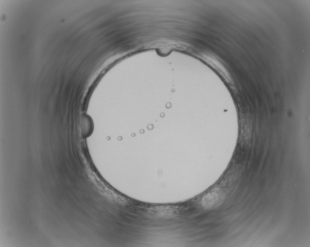 X0000060801000200512082145