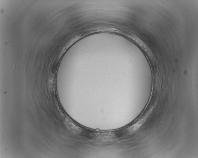 X0000060801001200512082145