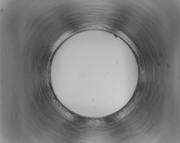 X0000060801002200512082145