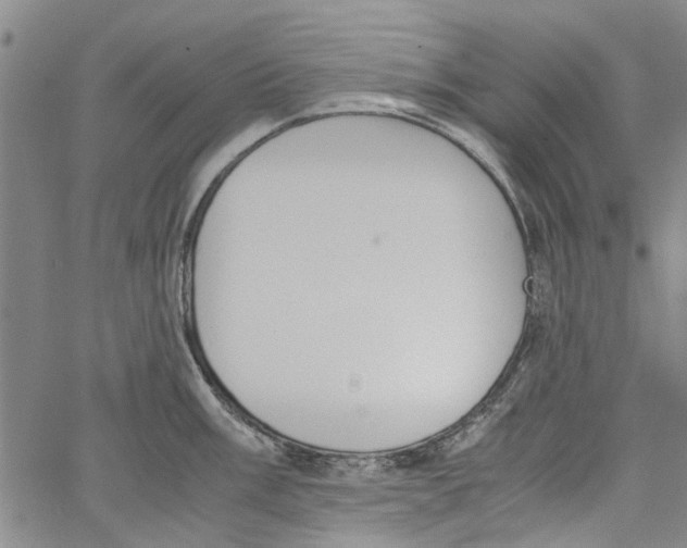 X0000060801003200512082145