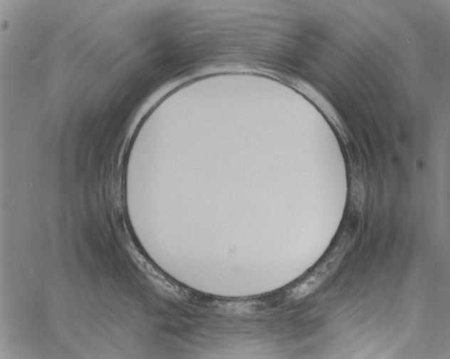 X0000060801004200512082145