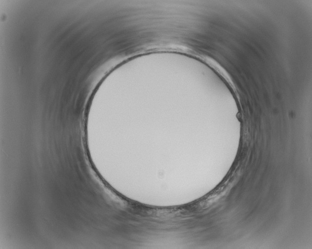 X0000060801005200512082145