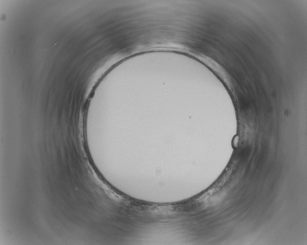 X0000060801006200512082145