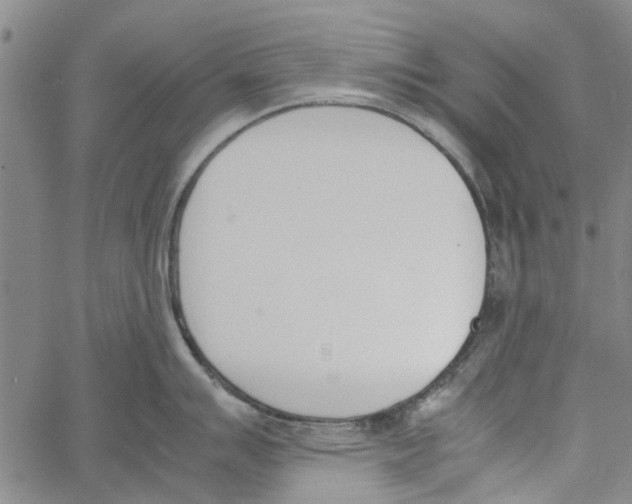 X0000060801007200512082145