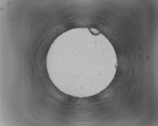 X0000060801009200512082144