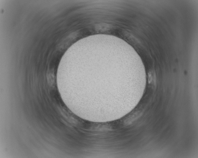 X0000060801011200512082144