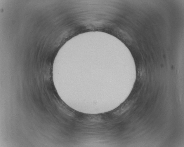 X0000060801012200512082144