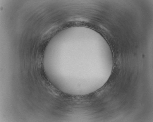 X0000060801014200512082144