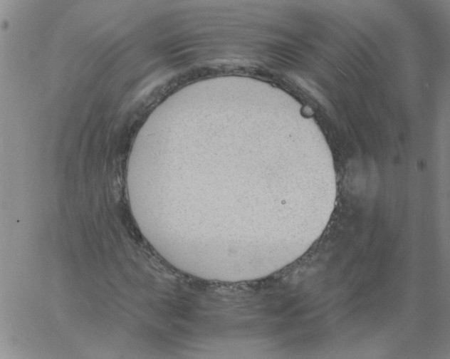 X0000060801015200512082144