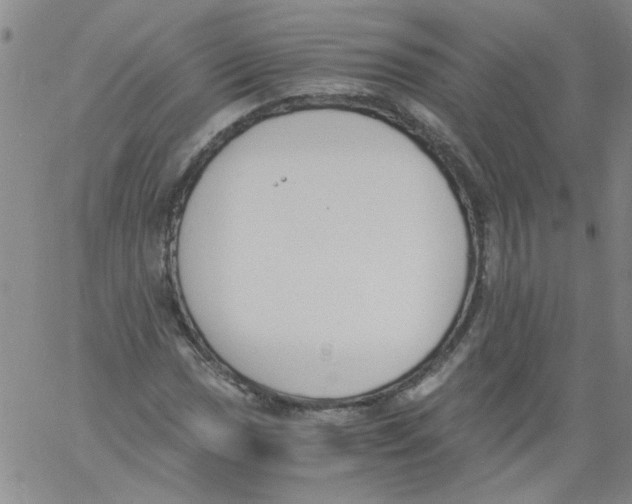 X0000060801017200512082144