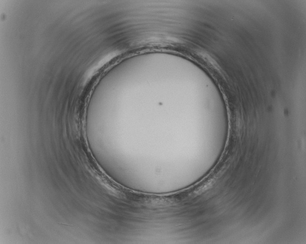 X0000060801018200512082144