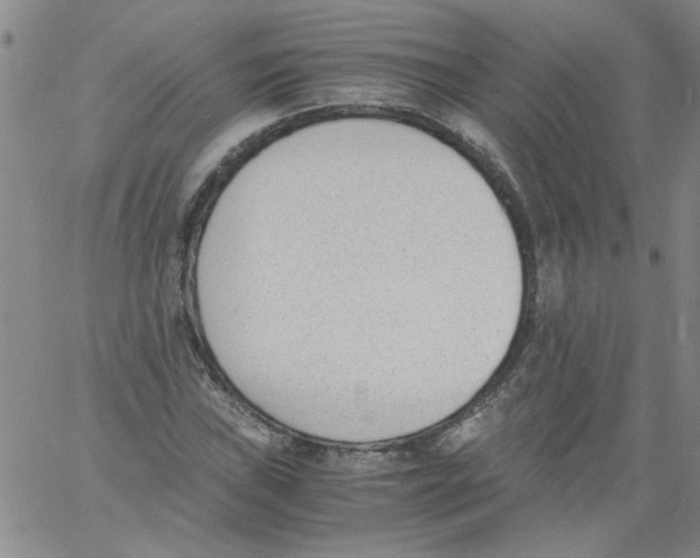 X0000060801019200512082144