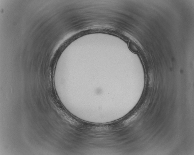 X0000060801021200512082144