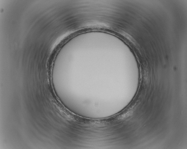 X0000060801022200512082144