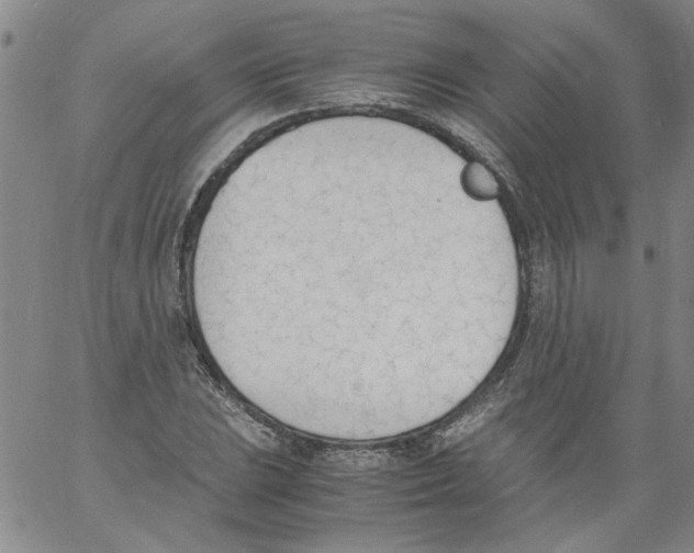 X0000060801023200512082144