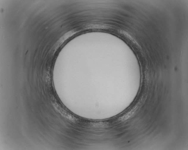 X0000060801025200512082144