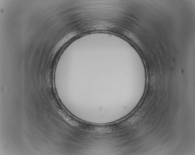 X0000060801026200512082144