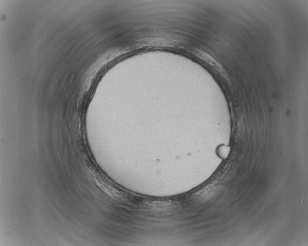 X0000060801027200512082144