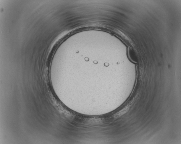 X0000060801029200512082144