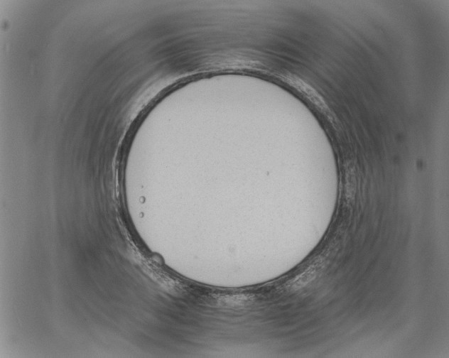 X0000060801031200512082145