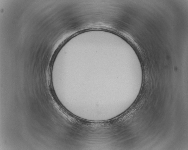 X0000060801032200512082145