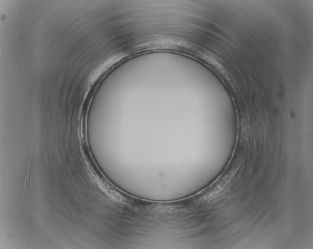 X0000060801034200512082145