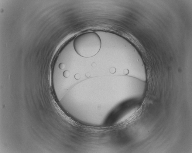 X0000060801036200512082145