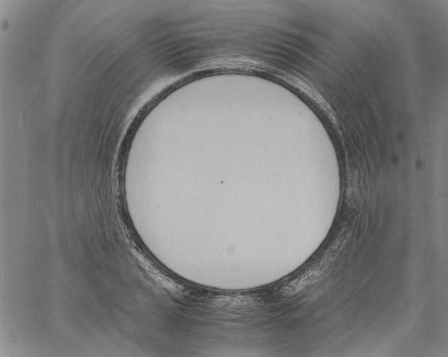 X0000060801037200512082145