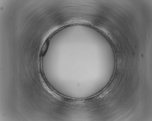 X0000060801038200512082145