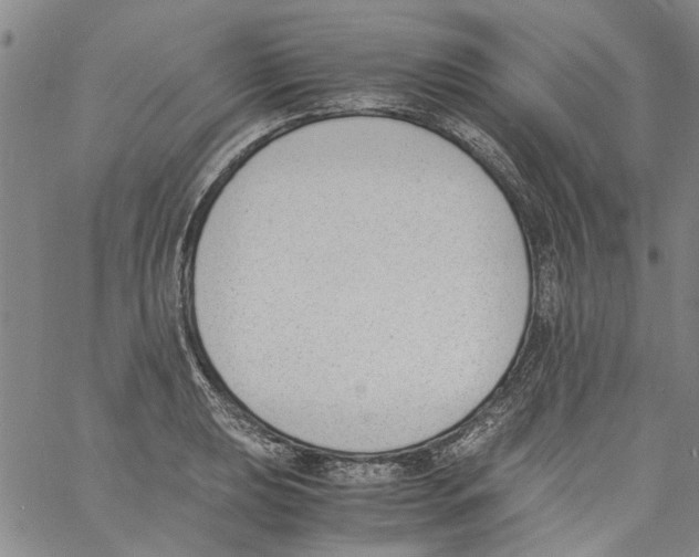 X0000060801039200512082145