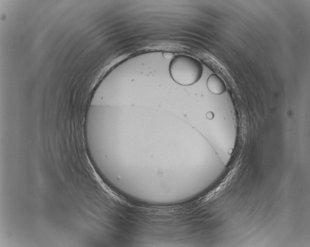 X0000060801041200512082145