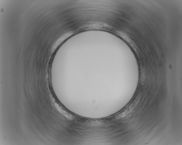 X0000060801042200512082145