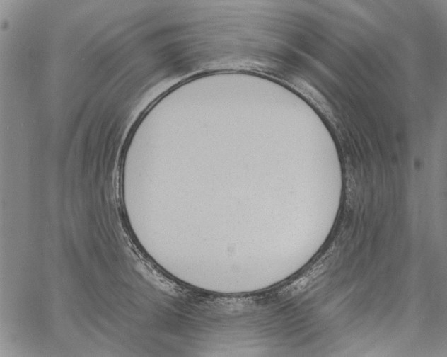 X0000060801044200512082145