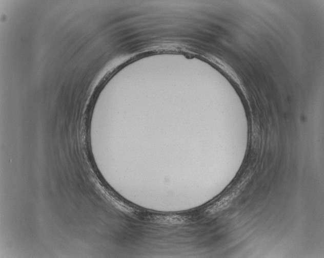 X0000060801045200512082145