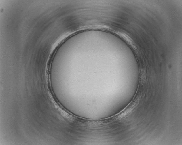 X0000060801046200512082145