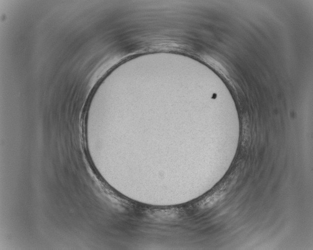 X0000060801047200512082145