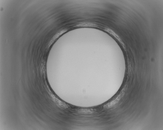 X0000060801049200512082145