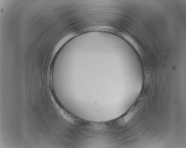 X0000060801050200512082145