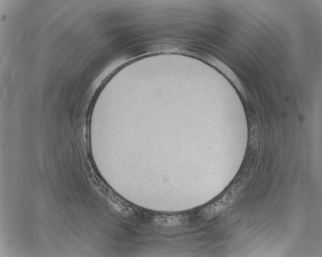 X0000060801051200512082145